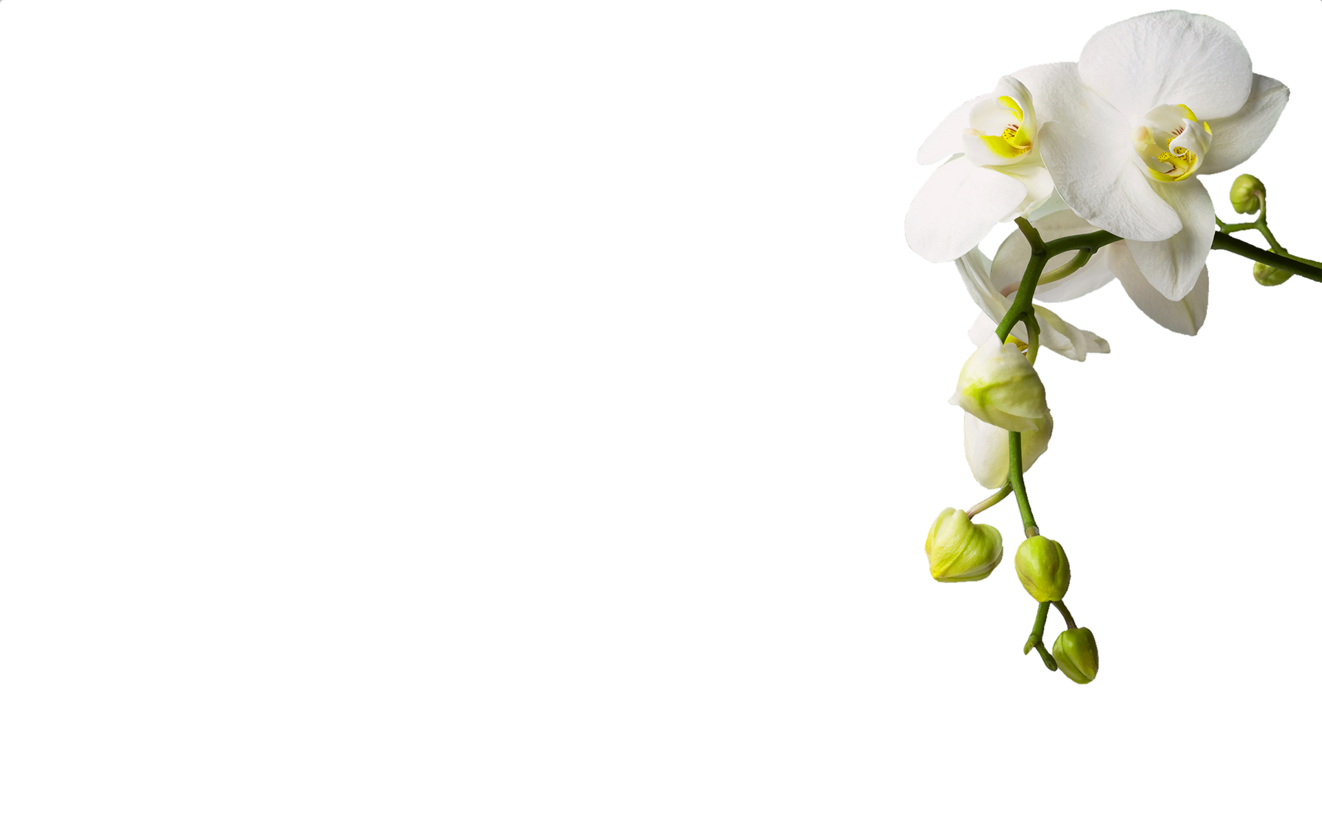 Natural MIDI background